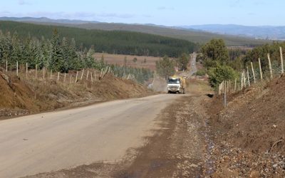 MOP recibe las ofertas para concretar pavimentación del camino Lumaco – Los Sauces por Las Rozas