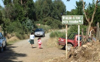 MOP construye con fondos regionales nueva vía de acceso a Puerto Saavedra