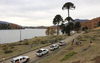 MOP abrirá ofertas económicas para obras de pavimentación del camino Melipeuco-Icalma